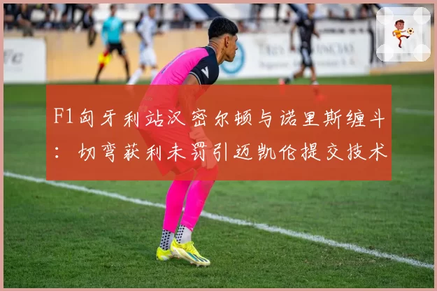 F1匈牙利站汉密尔顿与诺里斯缠斗：切弯获利未罚引迈凯伦提交技术抗议