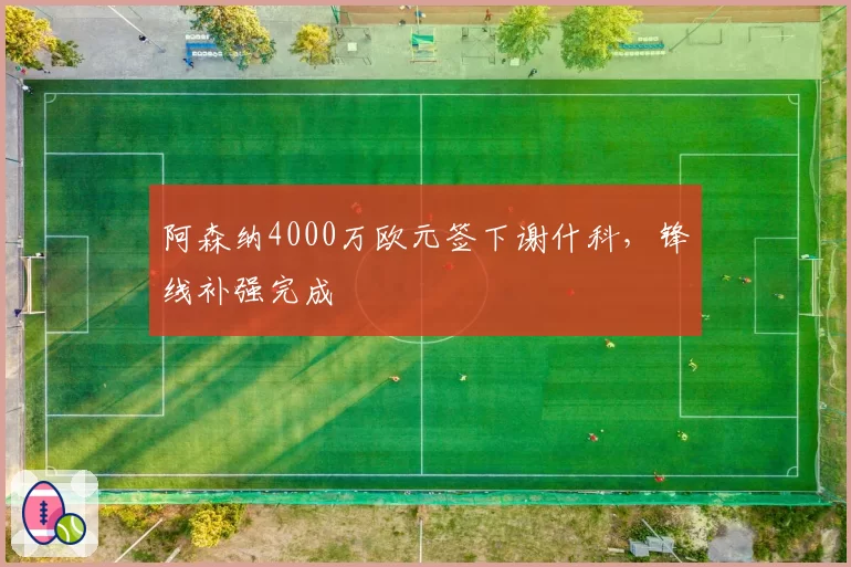 阿森纳4000万欧元签下谢什科,锋线补强完成