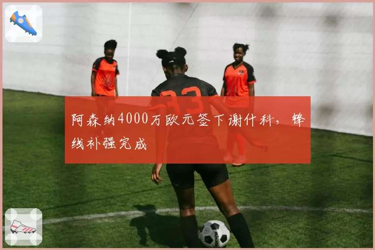 阿森纳4000万欧元签下谢什科,锋线补强完成